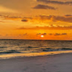 Meet your Posher, Asha